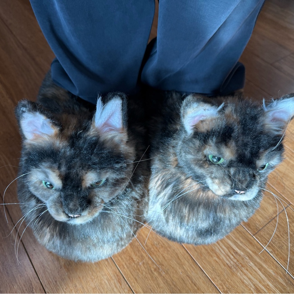 Cuddle clones cat slippers
